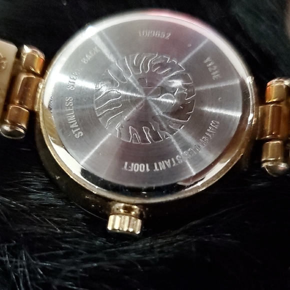 Anne Klein Gold and Cream Women\'s Watch Classic Timeless Iconic Lion Careee main image 5